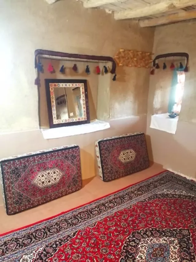 گردو