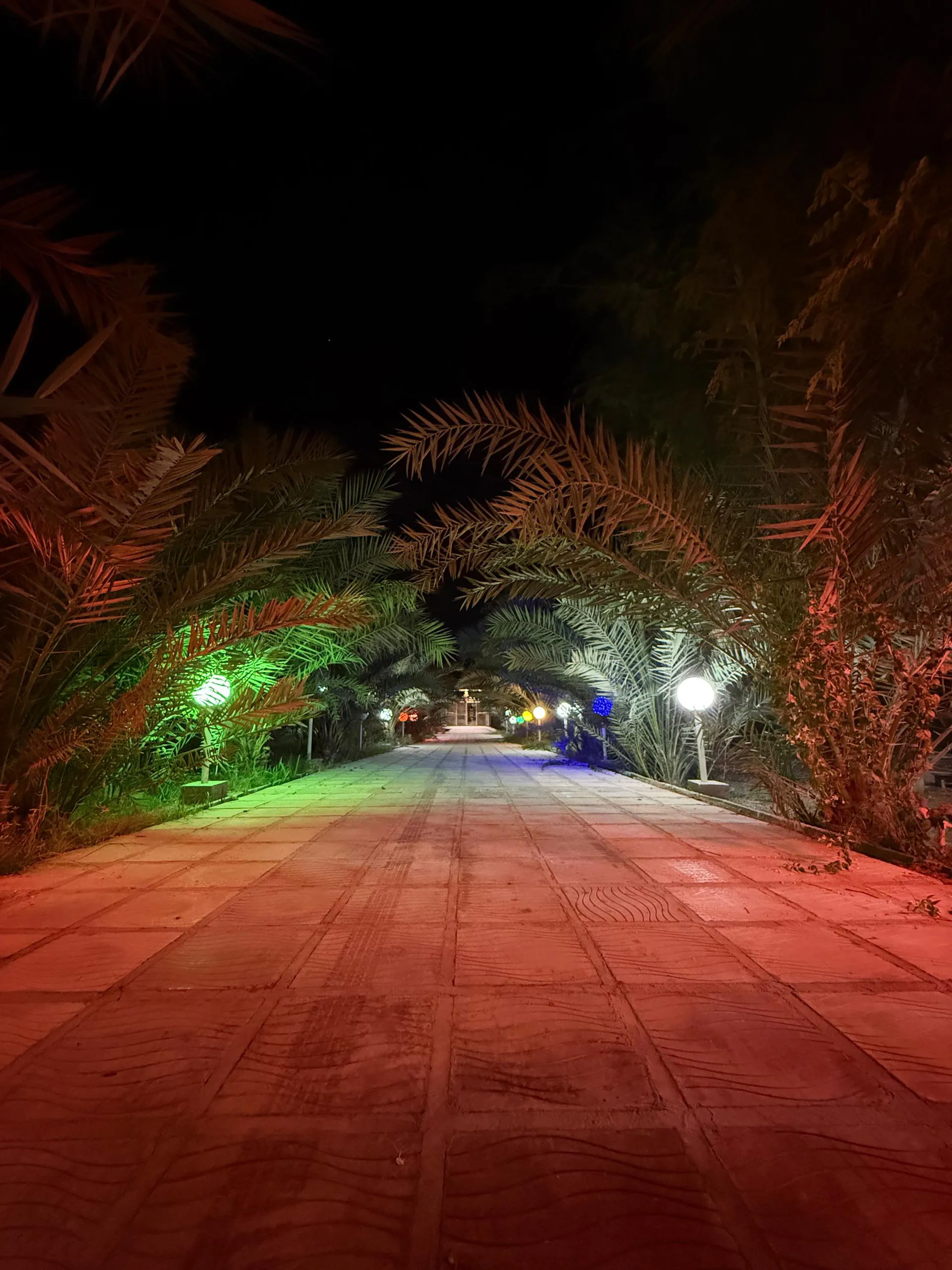 محوطه اقامتگاه بوم گردی سرزمین خورشید قشم