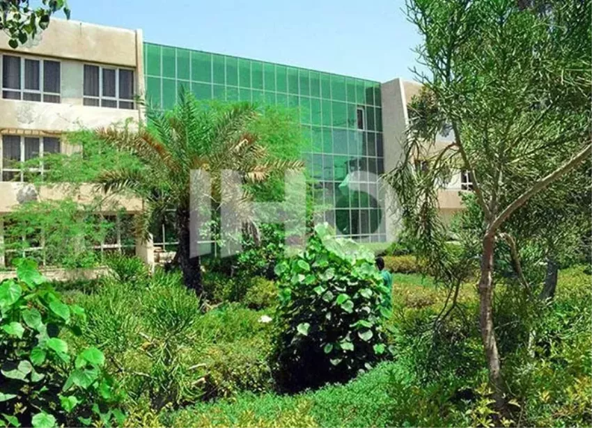 نما هتل لوتوس کیش