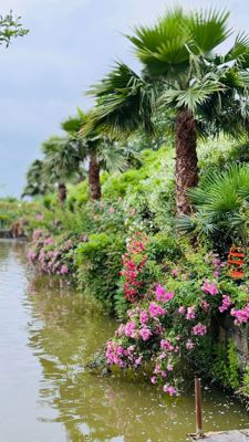 اقامتگاه های بوم گردی گیلمار اتاق دو تخته دبل رویال رشت