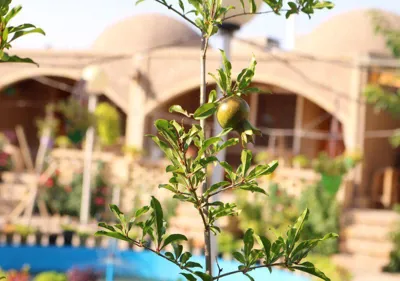 اقامتگاه بوم گردی خانه عمو مش رضا اتاق برای پنج نفر ورامین