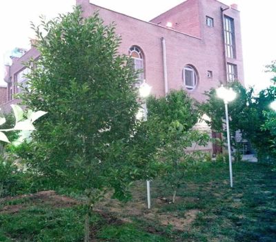 اقامتگاه بوم گردی آوای تالاب سوئیت دو خوابه برای سه نفر بروجن