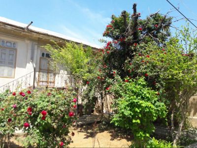 اقامتگاه های بوم گردی دیار نادر اتاق پدربزرگ برای سه نفر کلات نادری