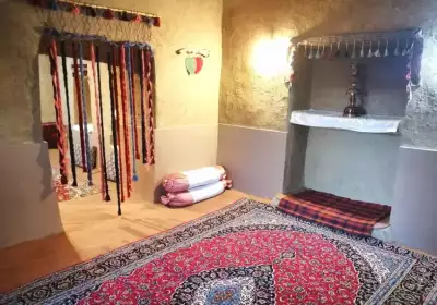 گردو