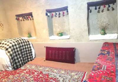 گردو