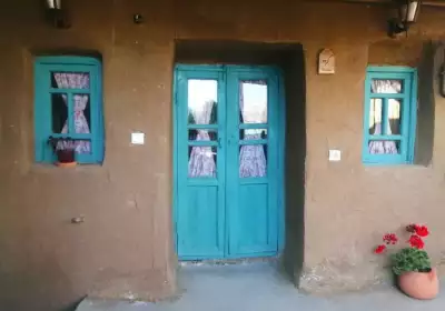 گردو