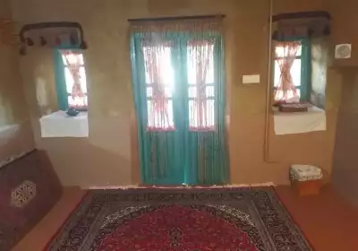 گردو