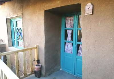 سنجد