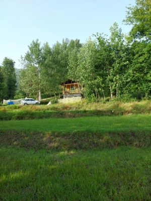 کلبه سطلسر کلبه جنگلی برای دو نفر لاهیجان