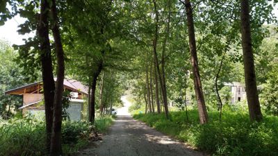 کلبه سطلسر کلبه جنگلی برای دو نفر لاهیجان