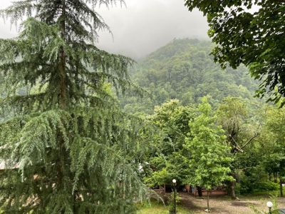 اقامتگاه بوم گردی سایه ارغوان اتاق برای چهار نفر رضوانشهر