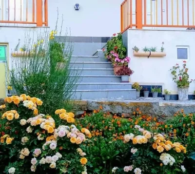اقامتگاه بوم گردی یاشیل طبیعت سوئیت یک خوابه برای چهار نفر کلیبر