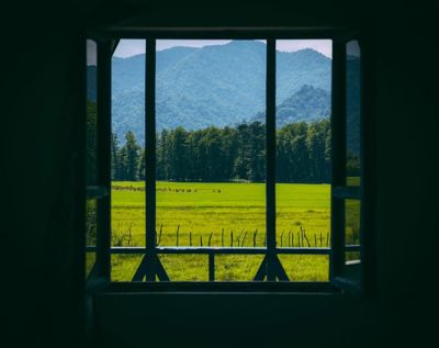 اقامتگاه های بوم گردی هیرکانی کلبه نارون برای دو نفر (20 متری) تالش