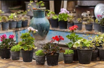 اقامتگاه های بوم گردی توسلیان اتاق دو دری برای چهار نفر نطنز