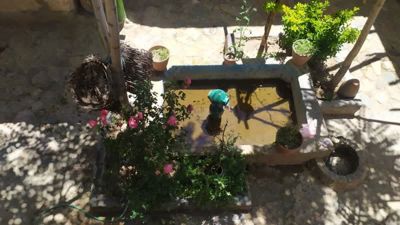 اقامتگاه بوم گردی خانه ما اتاق شماره دو برای سه نفر همدان