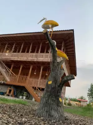 51