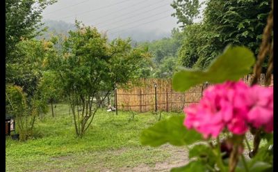 اقامتگاه بوم گردی کوهپایه کلبه سوئیسی برای دو نفر رشت