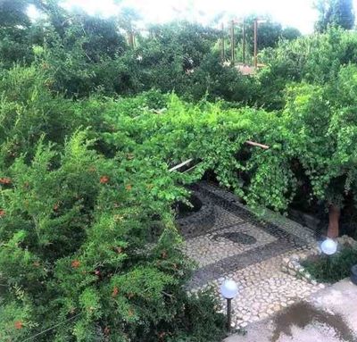 اقامتگاه بوم گردی گدین سوئیت برای دو نفر ماهان