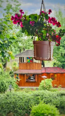 اقامتگاه های بوم گردی گیلمار اتاق ویژه معلولین برای دو نفر رشت