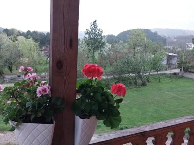 اقامتگاه بوم گردی ماه و خورشید سوئیت برای سه نفر رضوانشهر