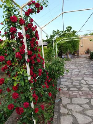 اقامتگاه بوم گردی مرسد اتاق شماره یک 12 متری برای چهار نفر (مستر) رشتخوار