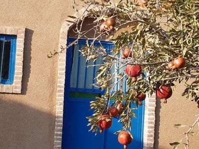 اقامتگاه بوم گردی مرسد اتاق شماره پنج 24 متری برای چهار نفر رشتخوار