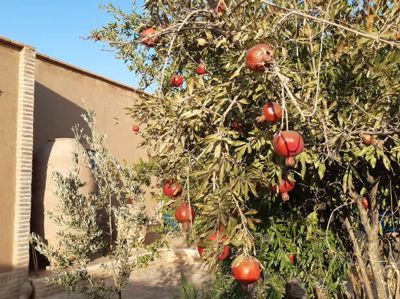 اقامتگاه های بوم گردی مرسد اتاق شماره پنج 24 متری برای چهار نفر رشتخوار