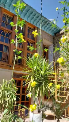 اقامتگاه سنتی گل طاها اتاق یک تخته شیراز