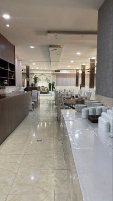 هتل وندیک همدان
