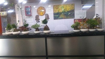 هتل آپارتمان آبان کرمان