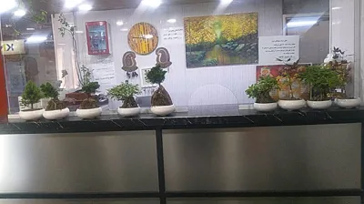 هتل آپارتمان آبان کرمان