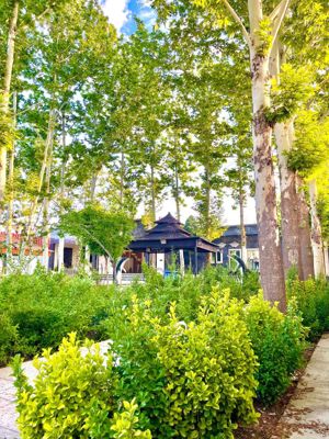 ویلا عمارت شاهان مشهد