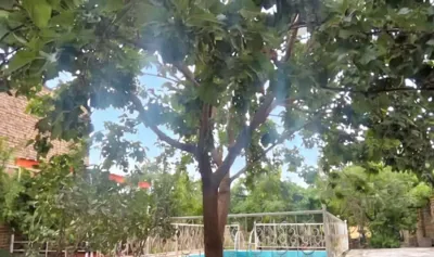محوطه ویلا دیاموند مشهد