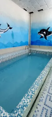 استخر ویلا آریا مشهد