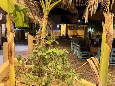 اقامتگاه بوم گردی لوتیو قشم