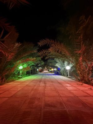 محوطه اقامتگاه بوم گردی سرزمین خورشید قشم