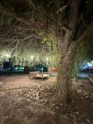 محوطه اقامتگاه بوم گردی سرزمین خورشید قشم