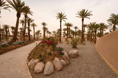 محوطه مجتمع گردشگری ستاره لوت شهداد